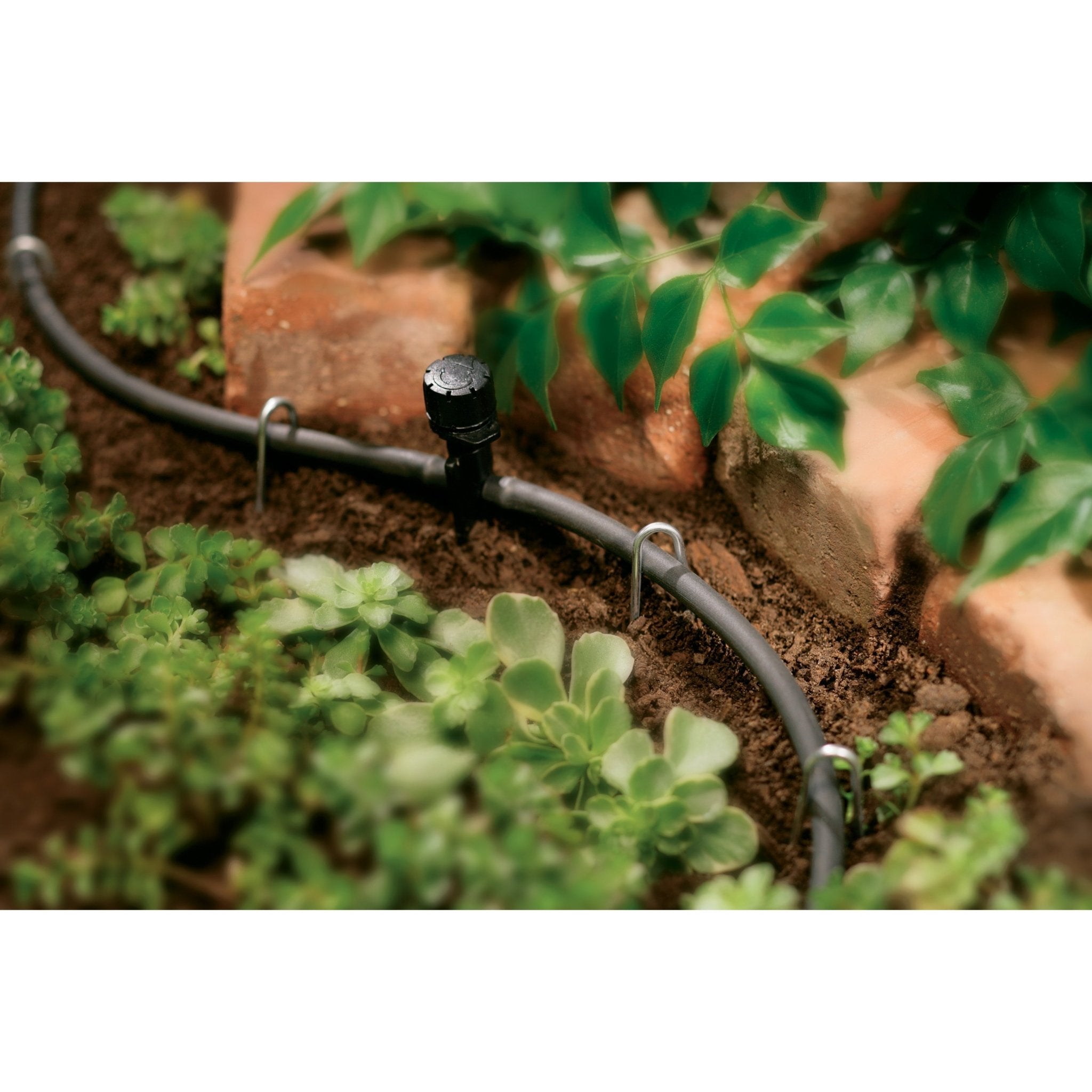1/4" x 50' Drip Blank Distribution Tubing Black | 67300 - Rustic Threads Farm