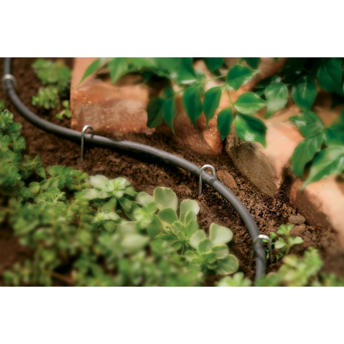 1/4" x 50' Drip Blank Distribution Tubing Black | 67300 - Rustic Threads Farm