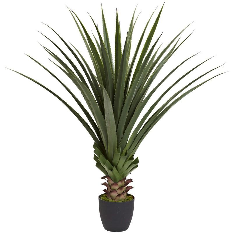 4' Spiked Agave Plant - Rustic Threads Farm