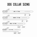 Leather Dog Collar - Designer