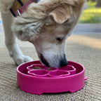 Flower eBowl Deep Slow Feeder Dog Bowl for Enrichment | USA Made