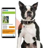 PetHub QR Pet ID Tag – Original Get Me Home Club