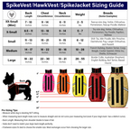 HawkVest