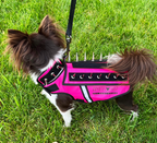 HawkVest