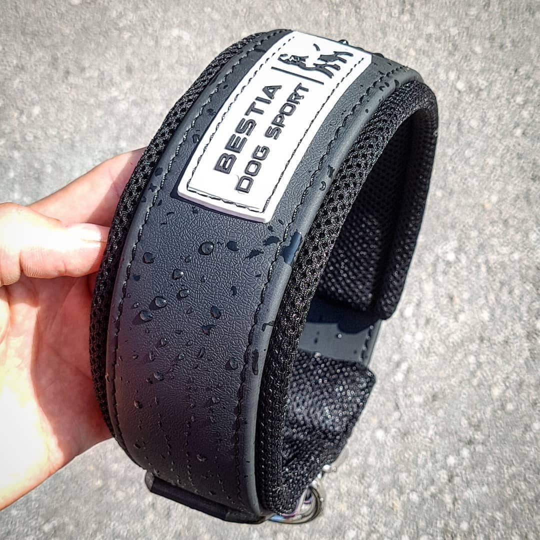 BESTIA DOG SPORT COLLAR - Rustic Threads Farm