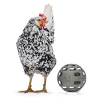 Chicken Snack Ball – 100% Recycled, Foraging & Play Feeder - Rustic Threads Farm