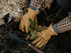 Classic Work Glove