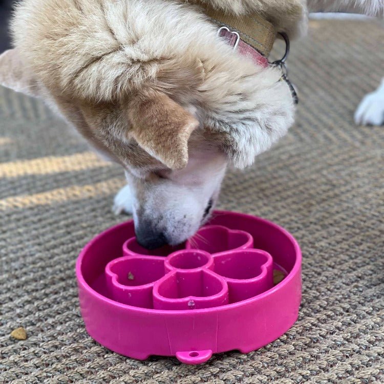 Flower eBowl Deep Slow Feeder Dog Bowl for Enrichment | USA Made - Rustic Threads Farm