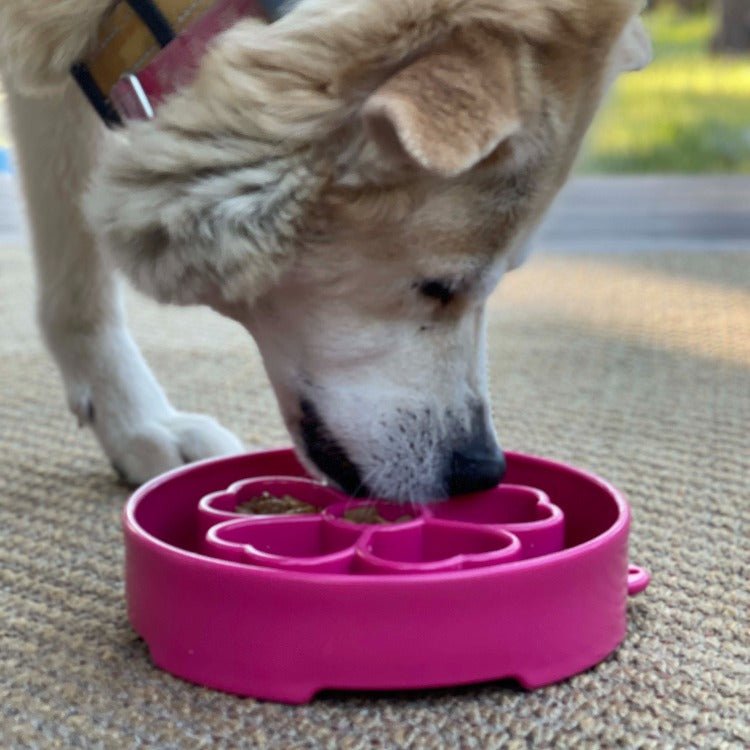 Flower eBowl Deep Slow Feeder Dog Bowl for Enrichment | USA Made - Rustic Threads Farm