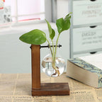 Glass Planter Bulb Vase Transparent Terrarium Hydroponic Vases For Home Garden Office Wedding Decor Wooden Stand Air Planter Bulb Glass Vase Propogation Station for Hydroponics Home Garden Office Decoration - Rustic Threads Farm