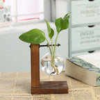 Glass Planter Bulb Vase Transparent Terrarium Hydroponic Vases For Home Garden Office Wedding Decor Wooden Stand Air Planter Bulb Glass Vase Propogation Station for Hydroponics Home Garden Office Decoration - Rustic Threads Farm