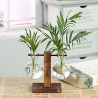 Glass Planter Bulb Vase Transparent Terrarium Hydroponic Vases For Home Garden Office Wedding Decor Wooden Stand Air Planter Bulb Glass Vase Propogation Station for Hydroponics Home Garden Office Decoration - Rustic Threads Farm