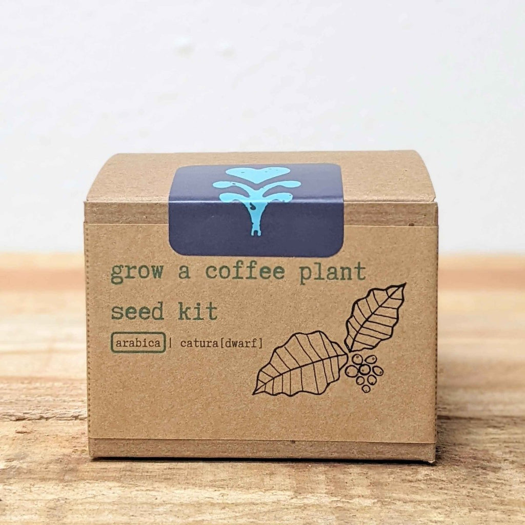 Grow a Coffee Plant Seed Kit - Rustic Threads Farm