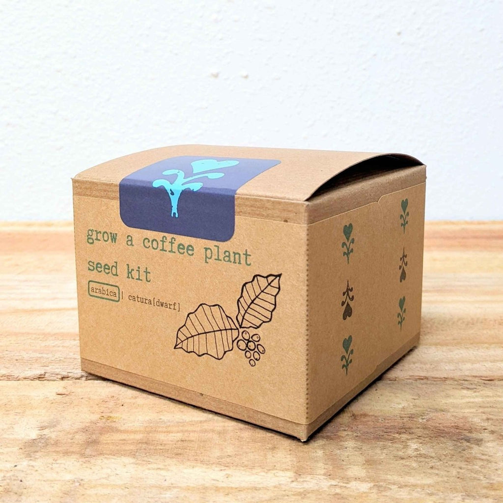 Grow a Coffee Plant Seed Kit - Rustic Threads Farm
