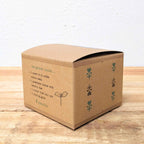Grow a Coffee Plant Seed Kit - Rustic Threads Farm