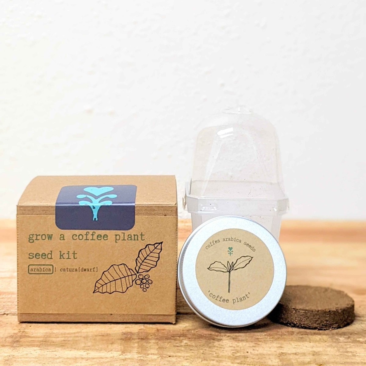 Grow a Coffee Plant Seed Kit - Rustic Threads Farm