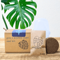 Grow a Monstera Seed Kit - Rustic Threads Farm