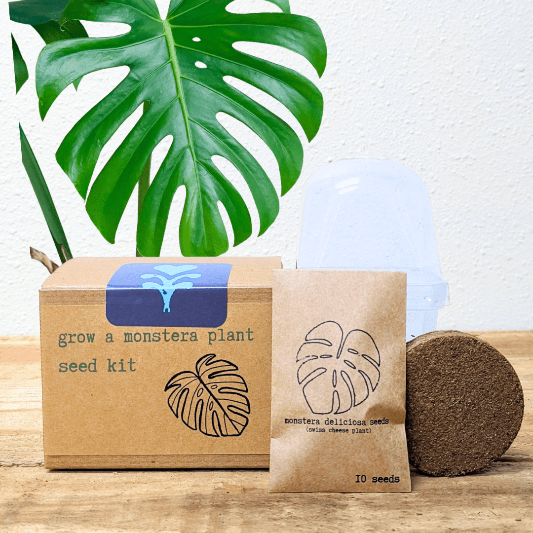 Grow a Monstera Seed Kit - Rustic Threads Farm