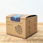 Grow a Monstera Seed Kit - Rustic Threads Farm