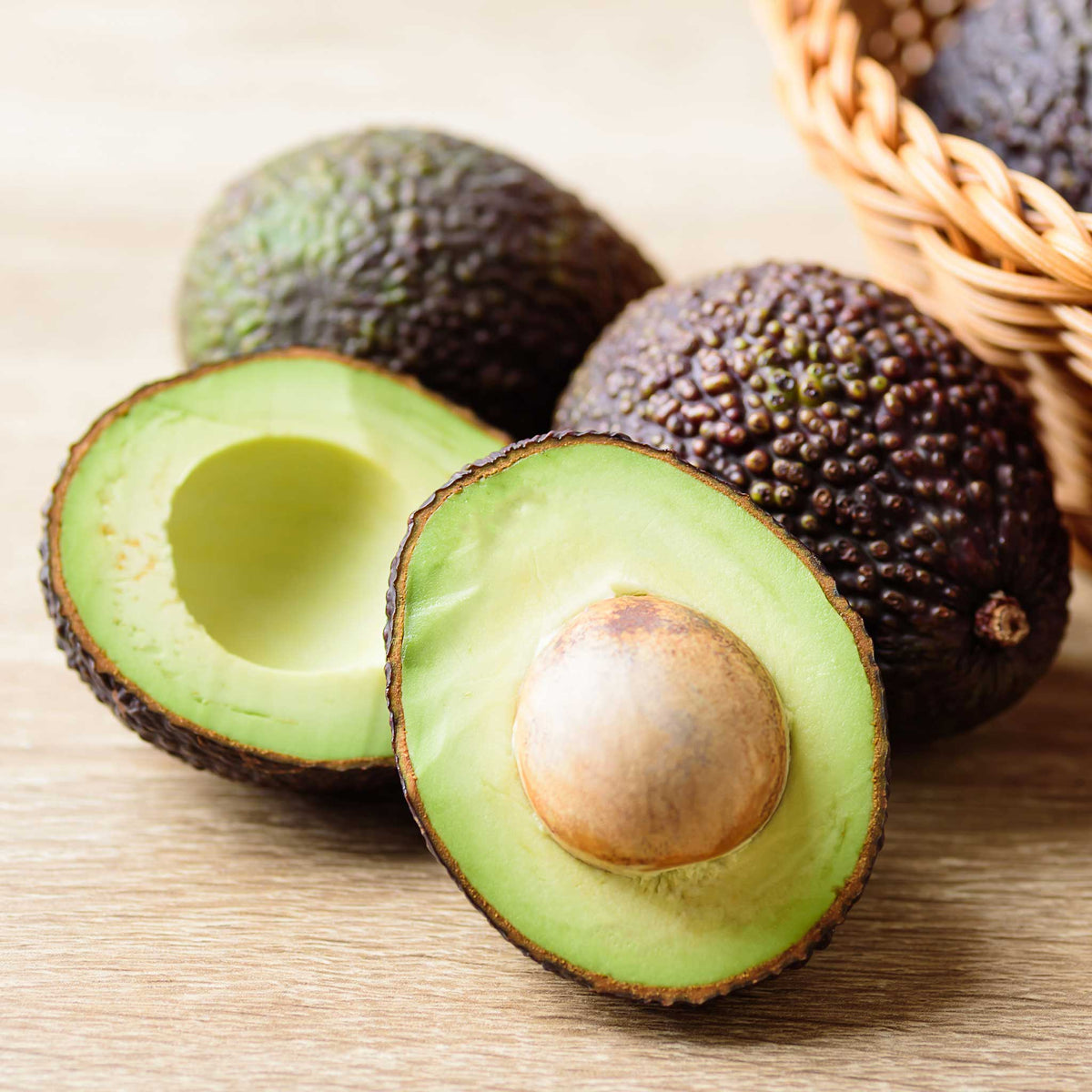 Hass Avocado Tree - Rustic Threads Farm