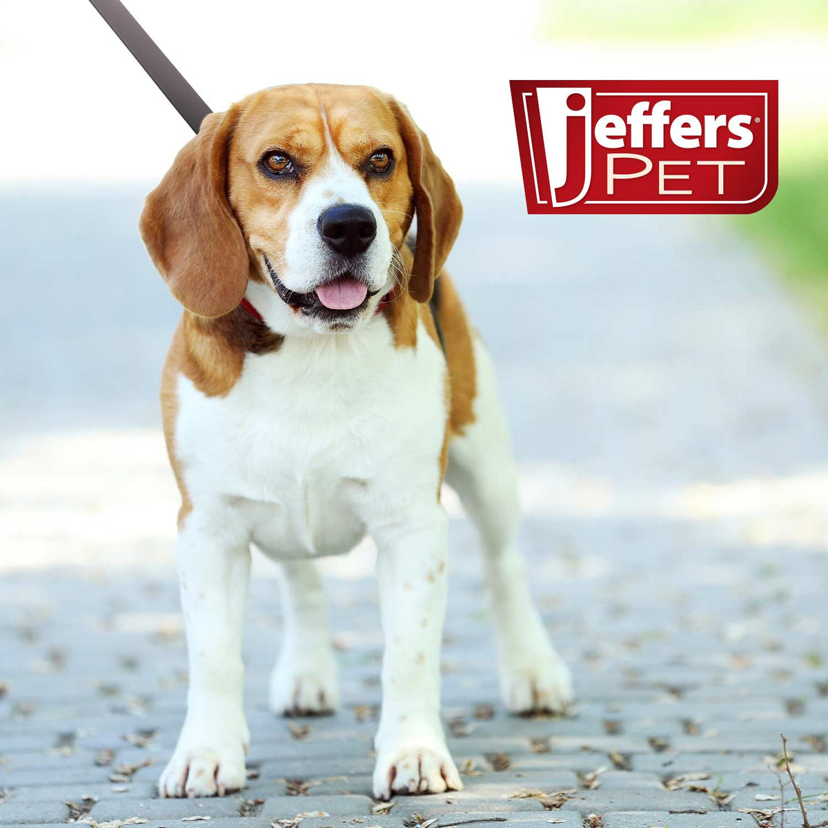 Jeffers Flat Leather Dog Leash with Hand Strap Handle, 6'L - Rustic Threads Farm