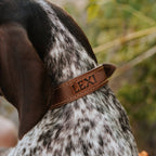 Leather Dog Collar - Designer - Rustic Threads Farm