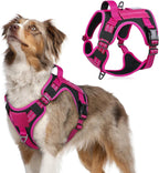No-Pull Tactical Dog Harness MOLLE Vest for Medium & Large Dogs - Rustic Threads Farm