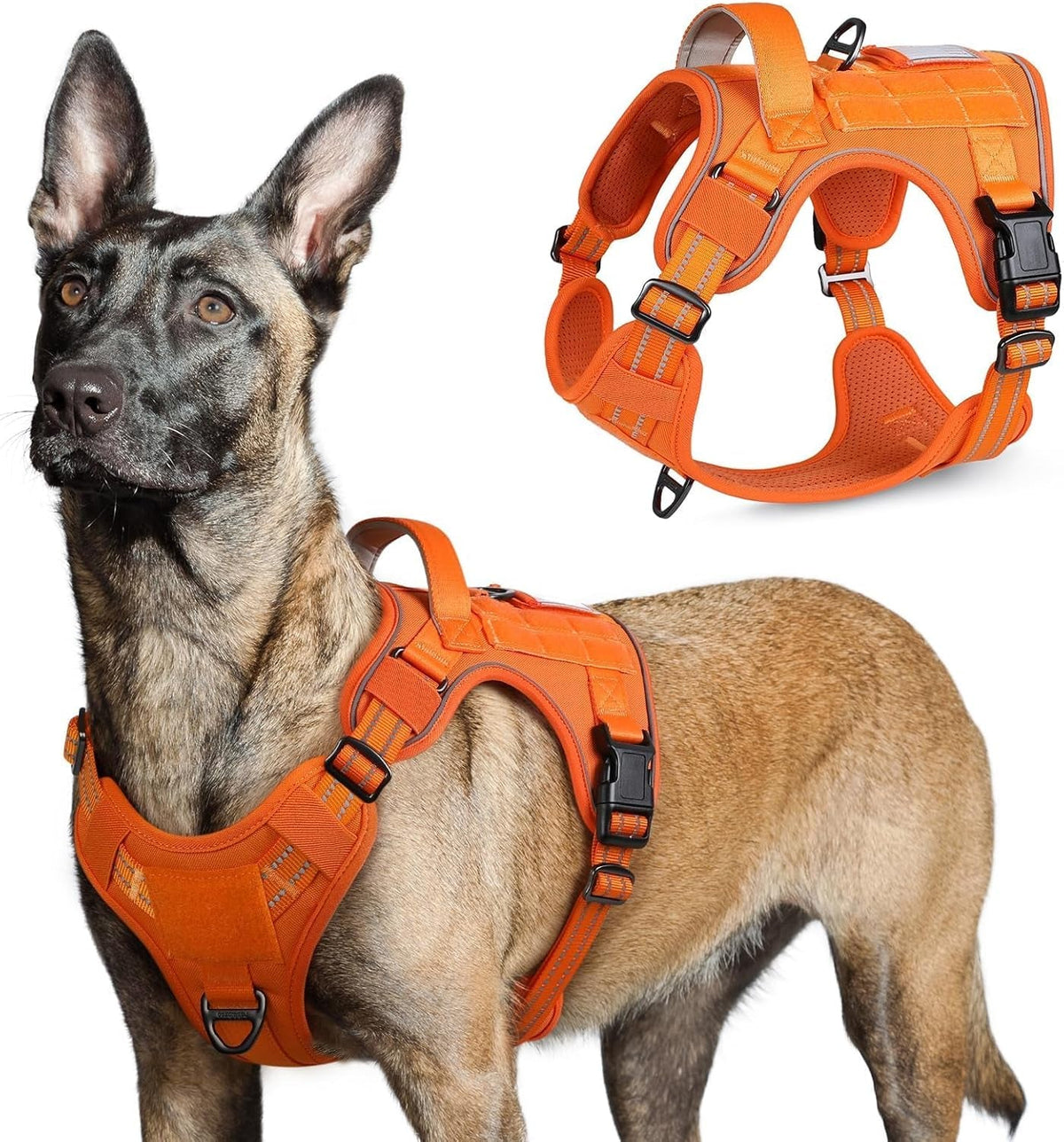 No-Pull Tactical Dog Harness MOLLE Vest for Medium & Large Dogs - Rustic Threads Farm