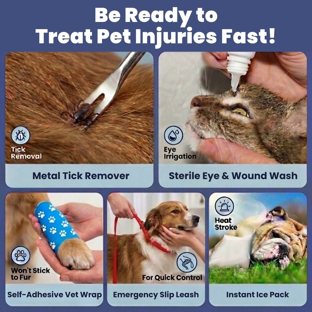 Pet First Aid Kit for Dogs & Cats with Vet-Approved Essentials - Rustic Threads Farm