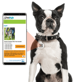 PetHub QR Pet ID Tag – Original Get Me Home Club - Rustic Threads Farm