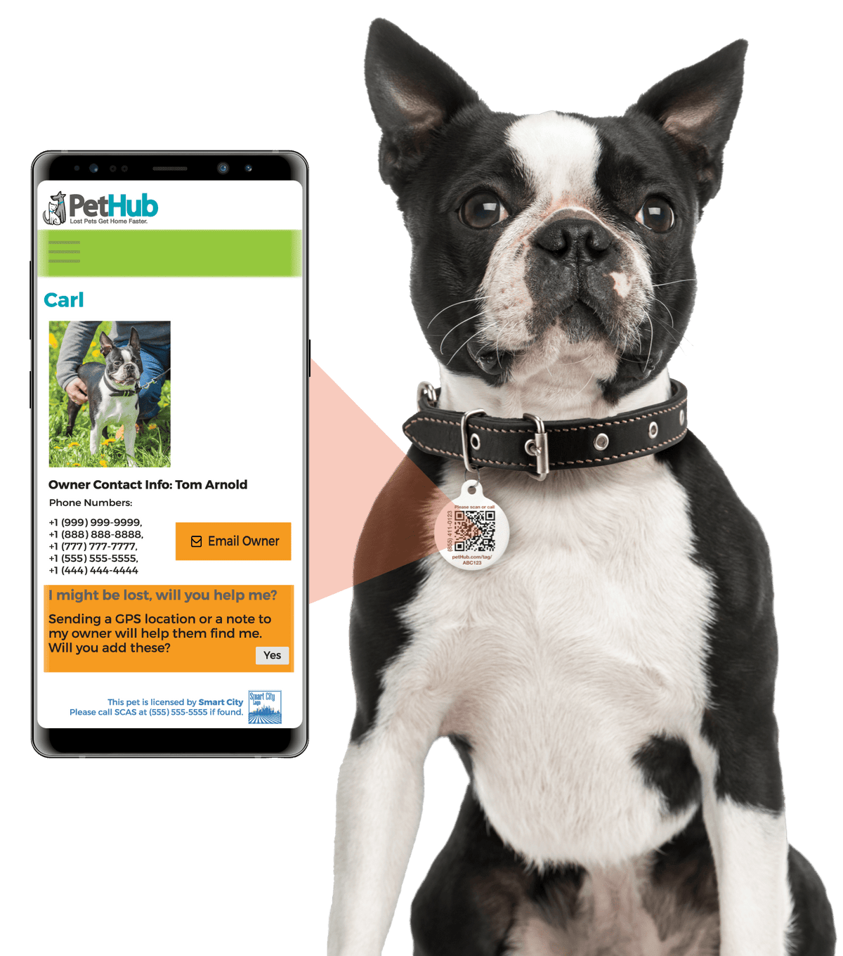 PetHub QR Pet ID Tag – Original Get Me Home Club - Rustic Threads Farm