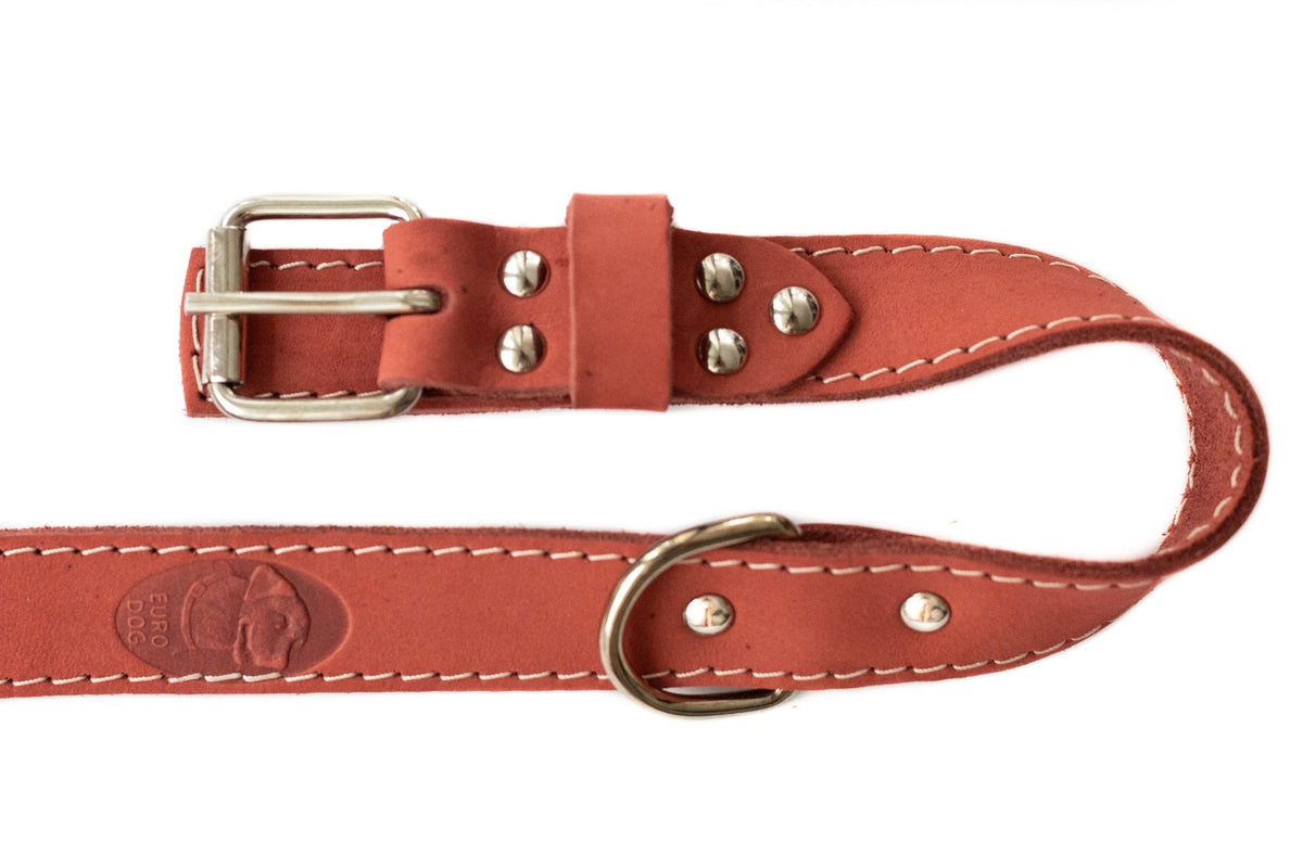 Pro Line Hunting Leather Collar and Leash Set - Rustic Threads Farm