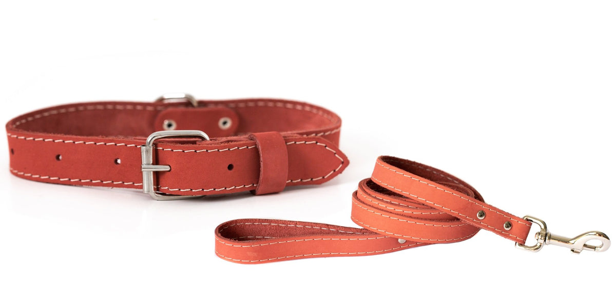 Pro Line Hunting Leather Collar and Leash Set - Rustic Threads Farm
