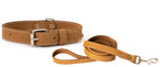 Pro Line Hunting Leather Collar and Leash Set - Rustic Threads Farm