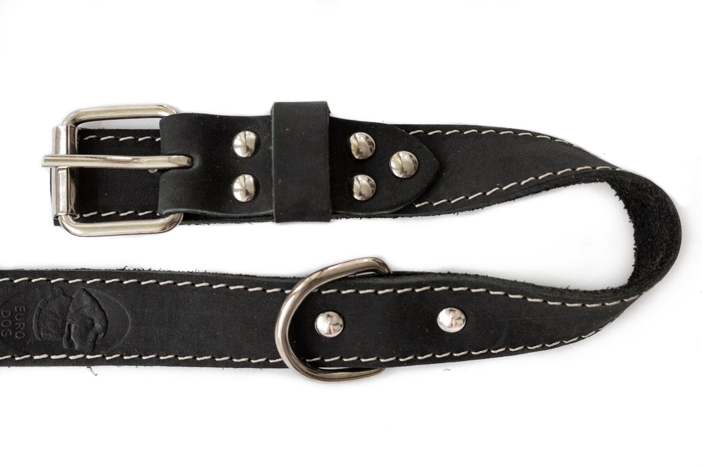 Pro Line Hunting Leather Collar and Leash Set - Rustic Threads Farm