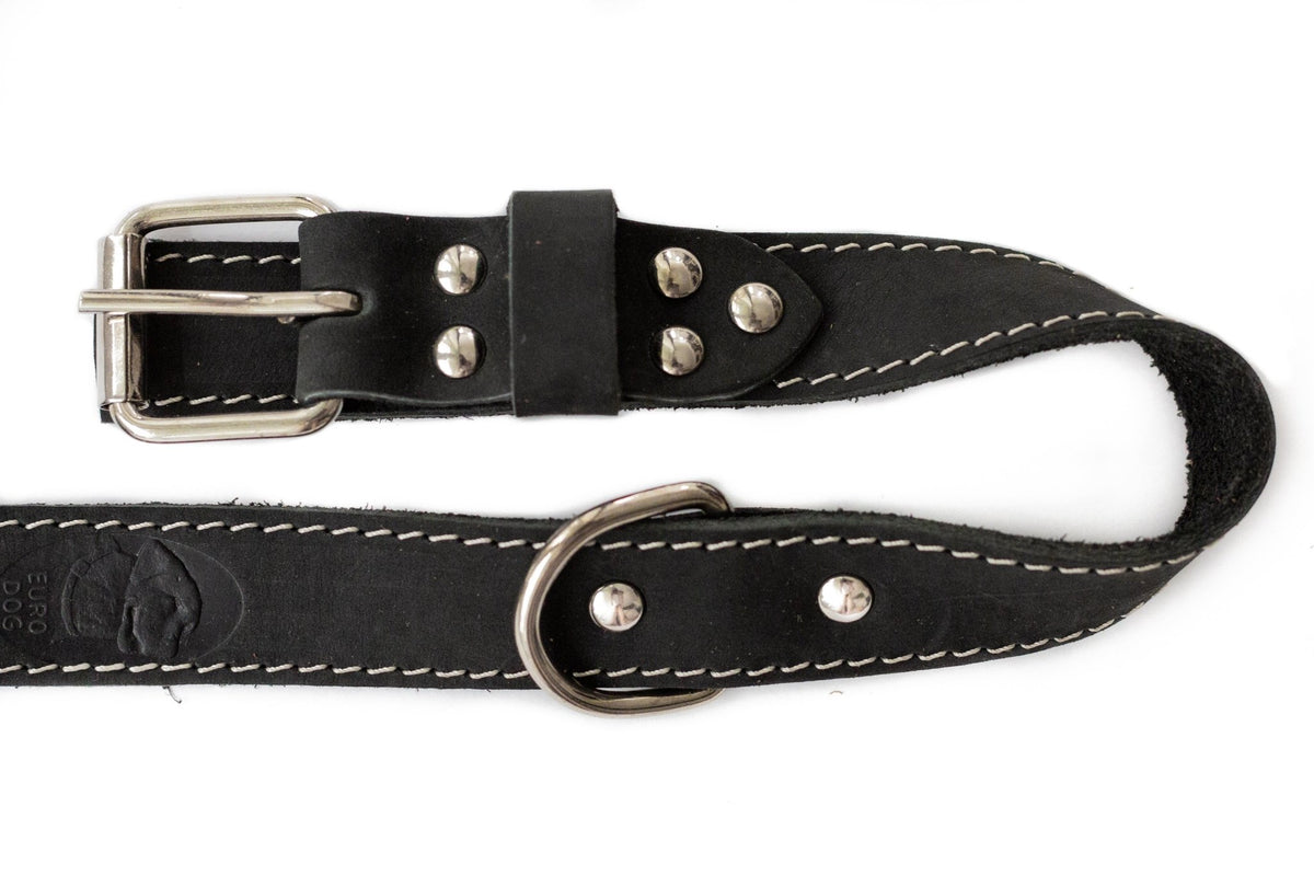 Pro Line Hunting Leather Collar and Leash Set - Rustic Threads Farm