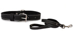Pro Line Hunting Leather Collar and Leash Set - Rustic Threads Farm
