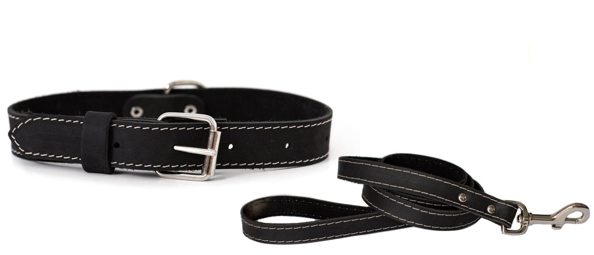 Pro Line Hunting Leather Collar and Leash Set - Rustic Threads Farm