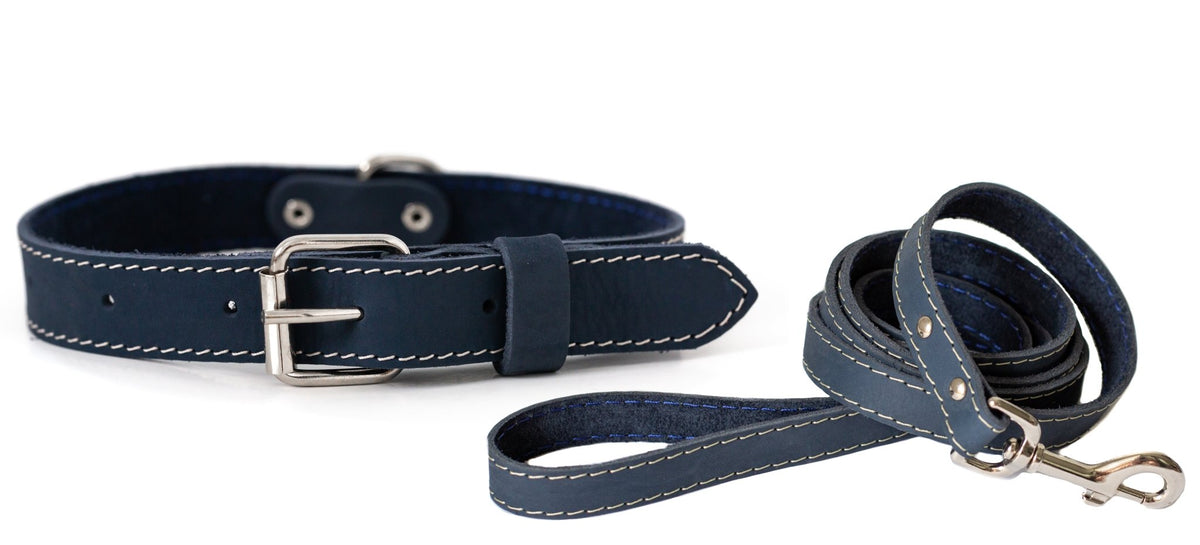 Pro Line Hunting Leather Collar and Leash Set - Rustic Threads Farm