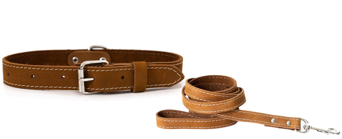 Pro Line Hunting Leather Collar and Leash Set - Rustic Threads Farm