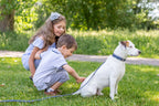 Pro Line Hunting Leather Collar and Leash Set - Rustic Threads Farm