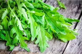 Roquette Arugula Seeds - Heirloom, Non-GMO - 40 Days to Maturity - Nutty & Peppery Flavor - USDA Zones 3-9 - Perfect for Salads & Stir-Fries - Rustic Threads Farm