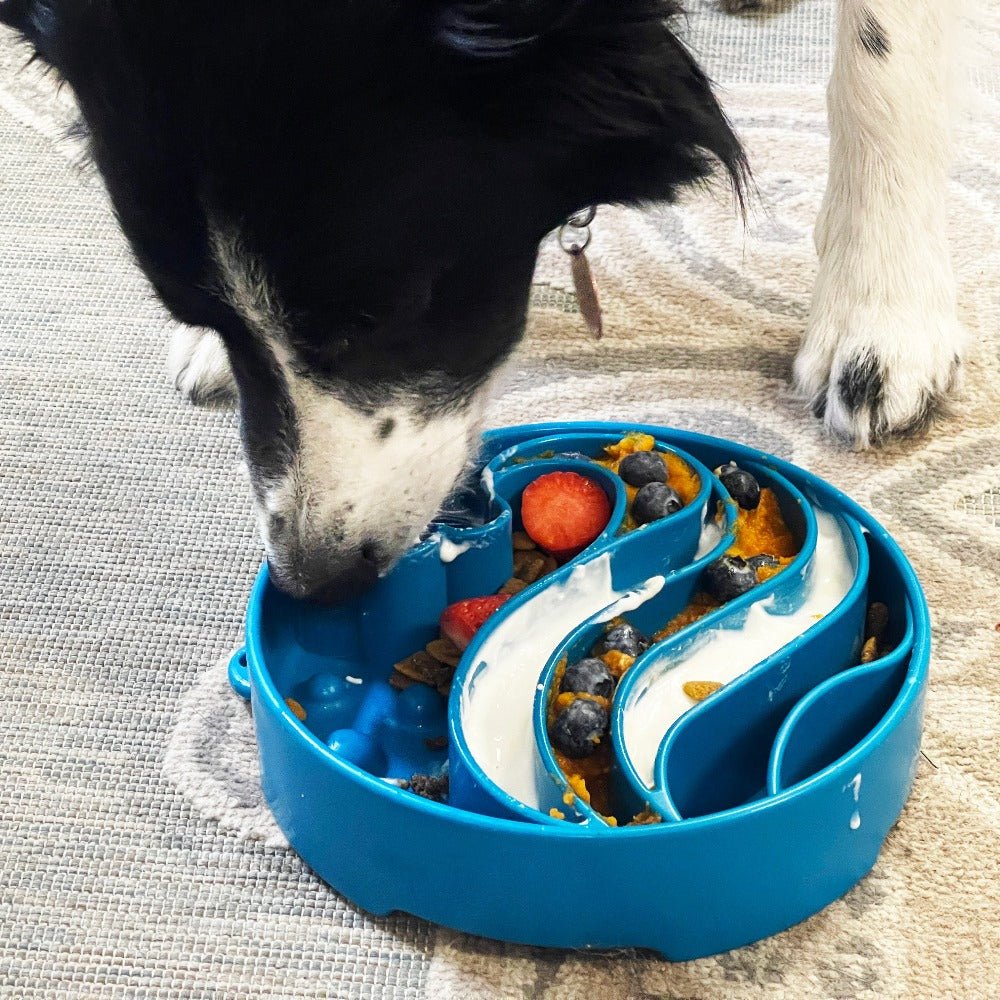 Wave eBowl Deep Slow Feeder Dog Bowl for Enrichment | Made in USA - Rustic Threads Farm