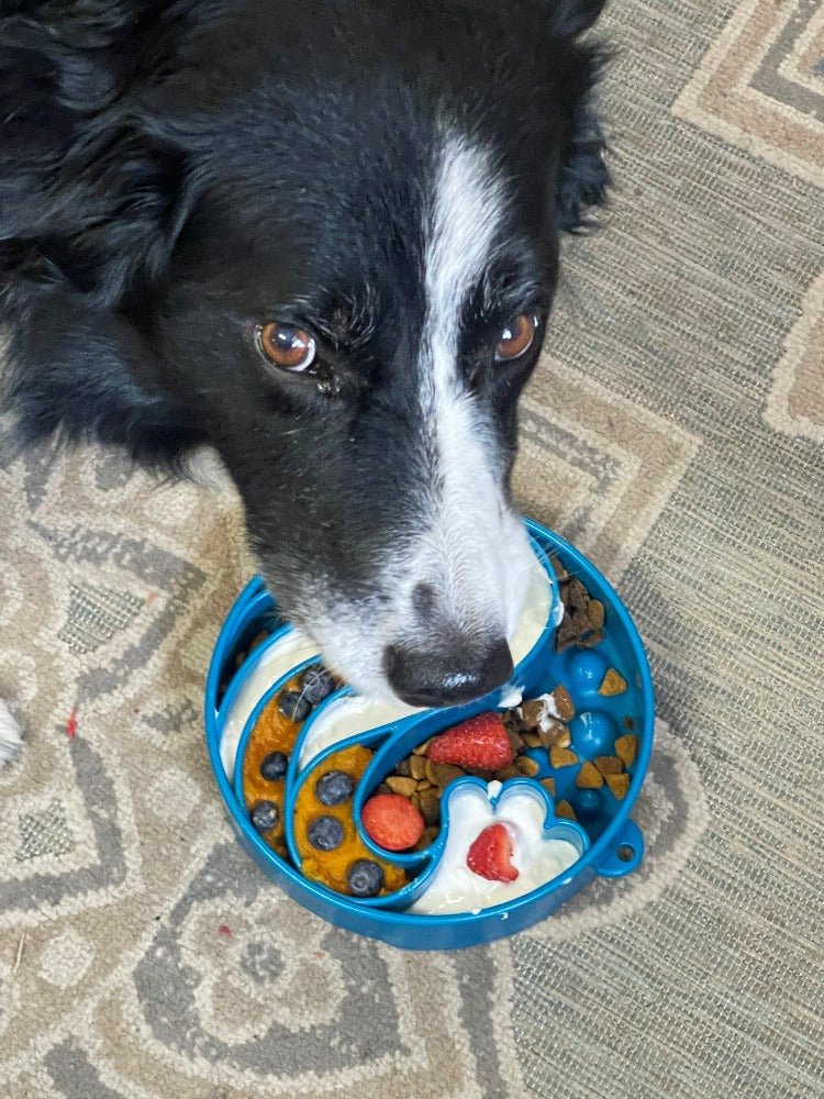 Wave eBowl Deep Slow Feeder Dog Bowl for Enrichment | Made in USA - Rustic Threads Farm